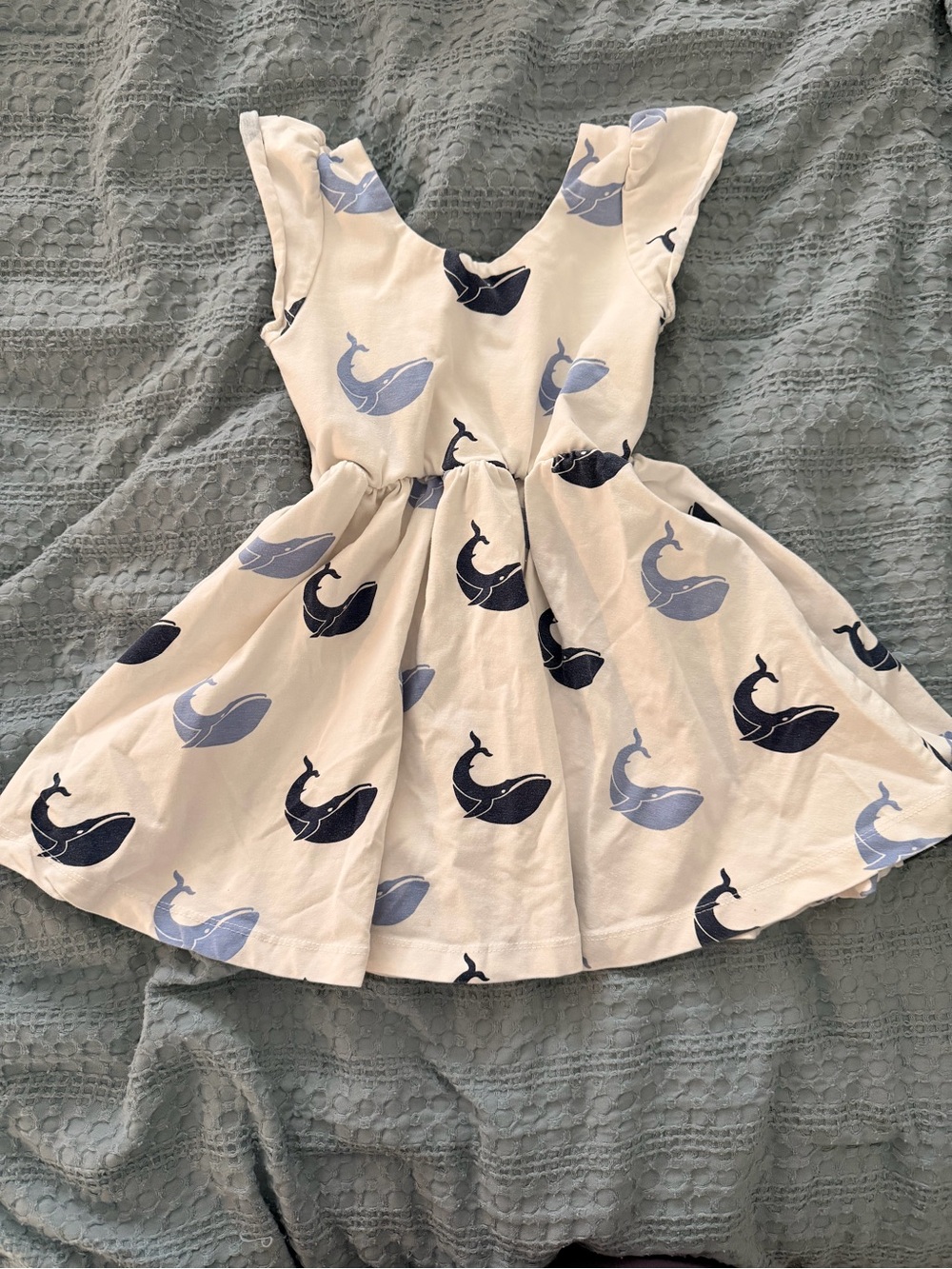 Girls Monica and Andy Cream Whale Print Twirl Dress - Navy & Light Blue